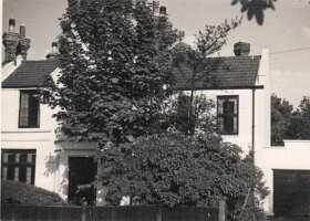 Image1