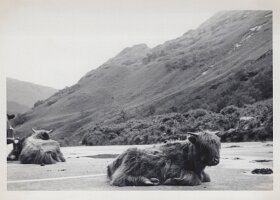 1962_Young_Prestons-30