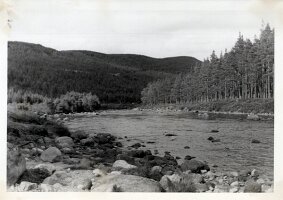 1962_Young_Prestons-87