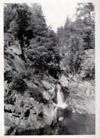1962_Young_Prestons-98